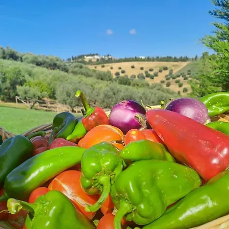 Holiday home Fienilemare