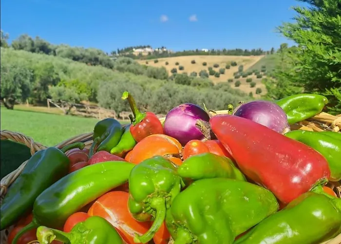 Prázdninový dům Fienilemare